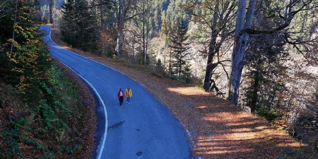 Zigana Dağı eteklerinde eşsiz bir adres! Doğa tutkunları buraya akın ediyor: Unutulmaz anlara hazır olun! 2